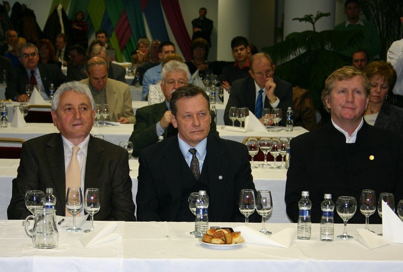 vas 022.jpg
